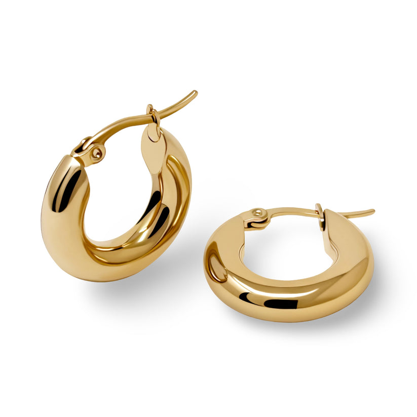 Chubby Hoop Earrings – Seodore